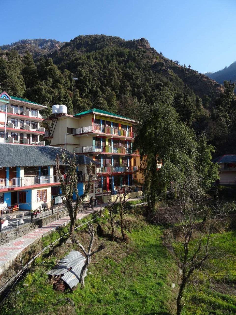 La Vaca India McLeodganj Albergue McLeod Ganj Exterior foto